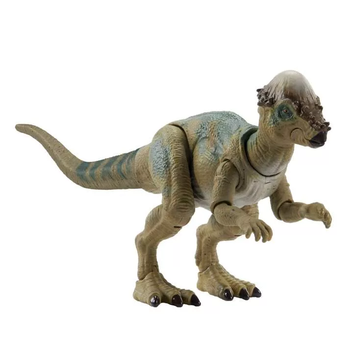 PACHYCEPHALOSAURUS 1